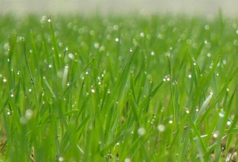 新利体育·luck18(中国)首页登录