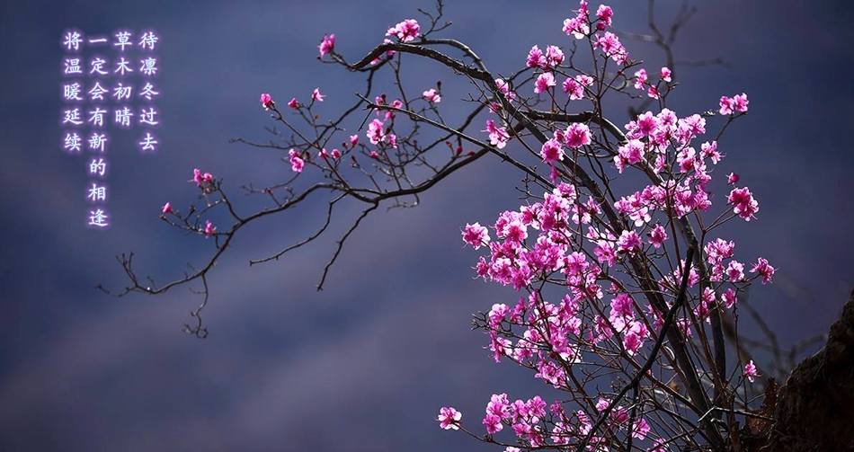 新利体育·luck18(中国)首页登录